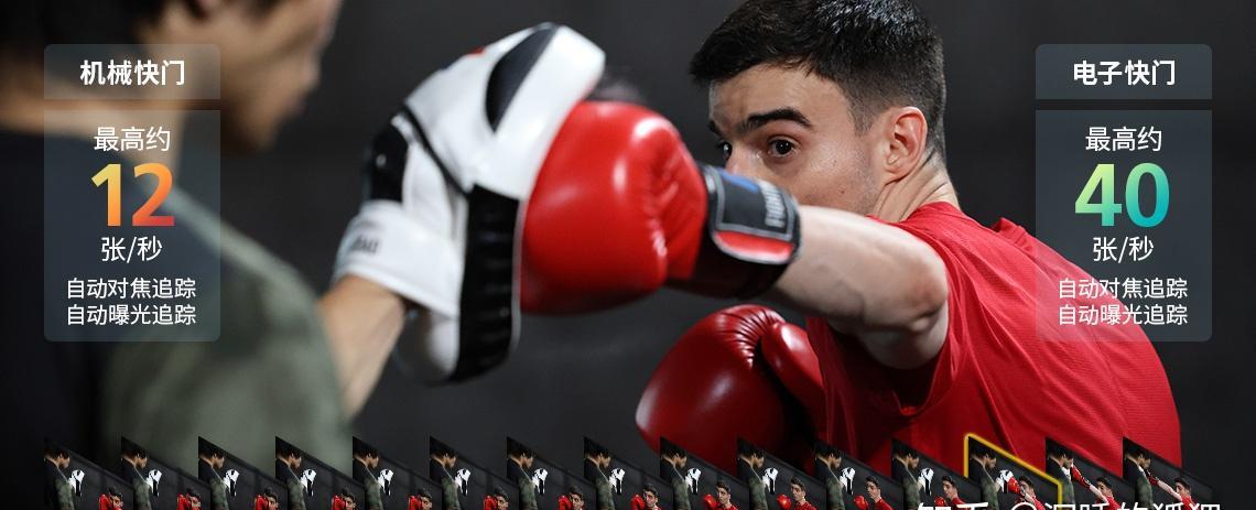 索尼a7r4a和佳能r6,2千预算选佳能还是尼康