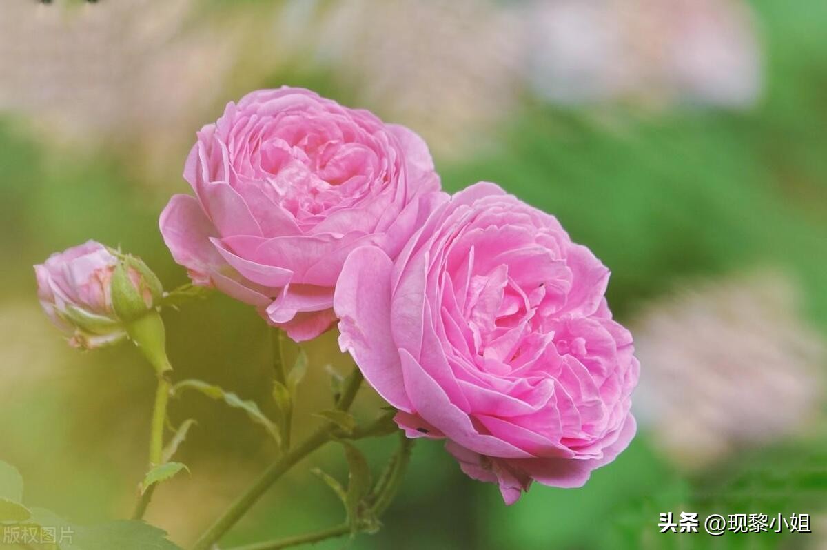 置顶文案短句干净高冷,适合微信朋友圈的文案短句