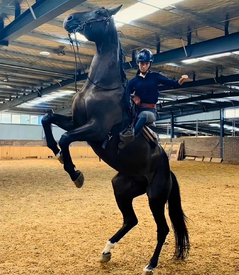 封神殷郊高光时刻,封神30集