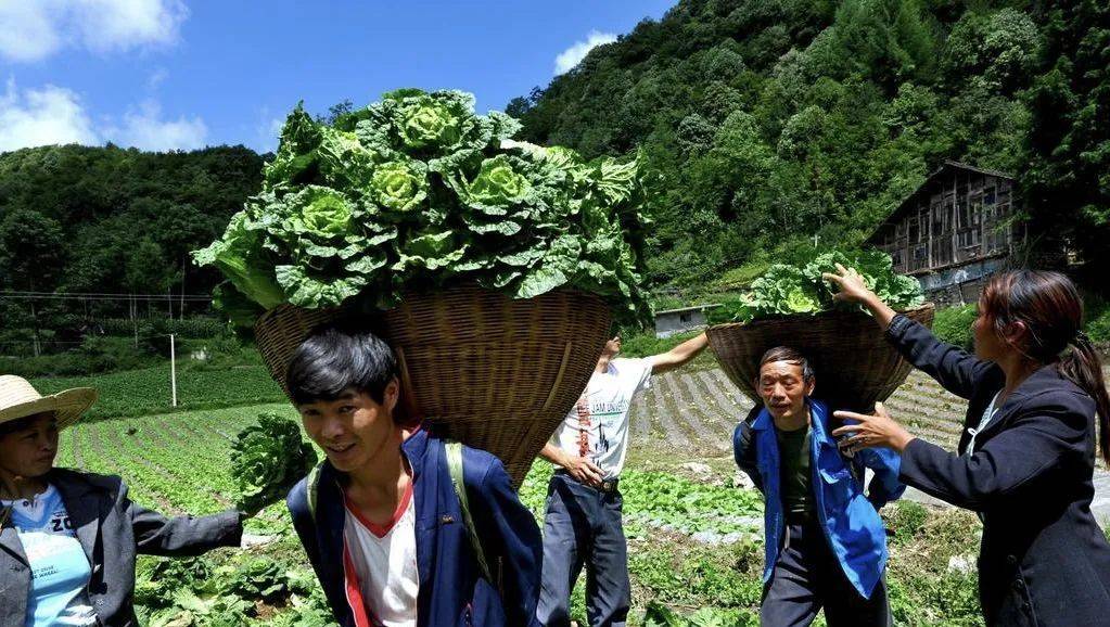 恩施土特产九哥店地址,恩施土特产连锁店