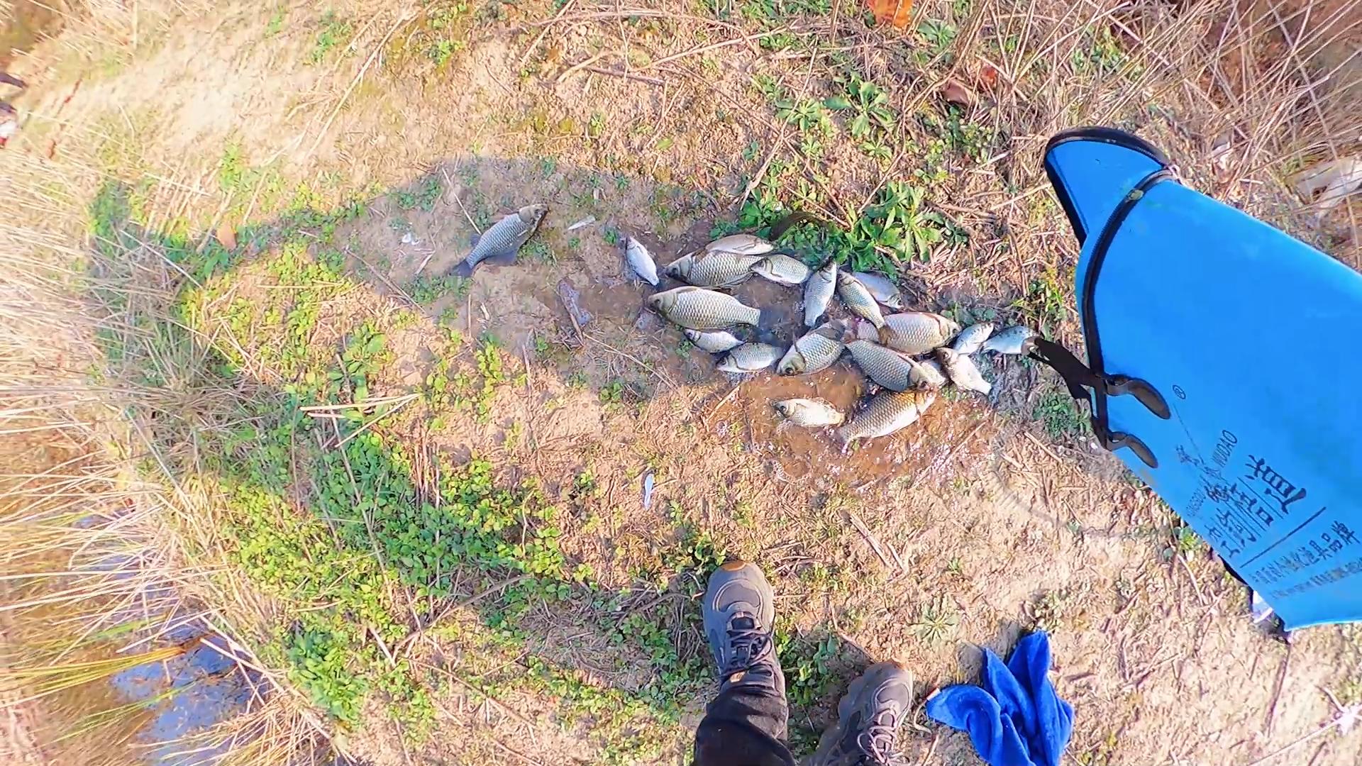 夏天小鱼闹窝能用大泡铅钓鲫鱼吗,冬天钓鲫鱼小杂鱼闹窝