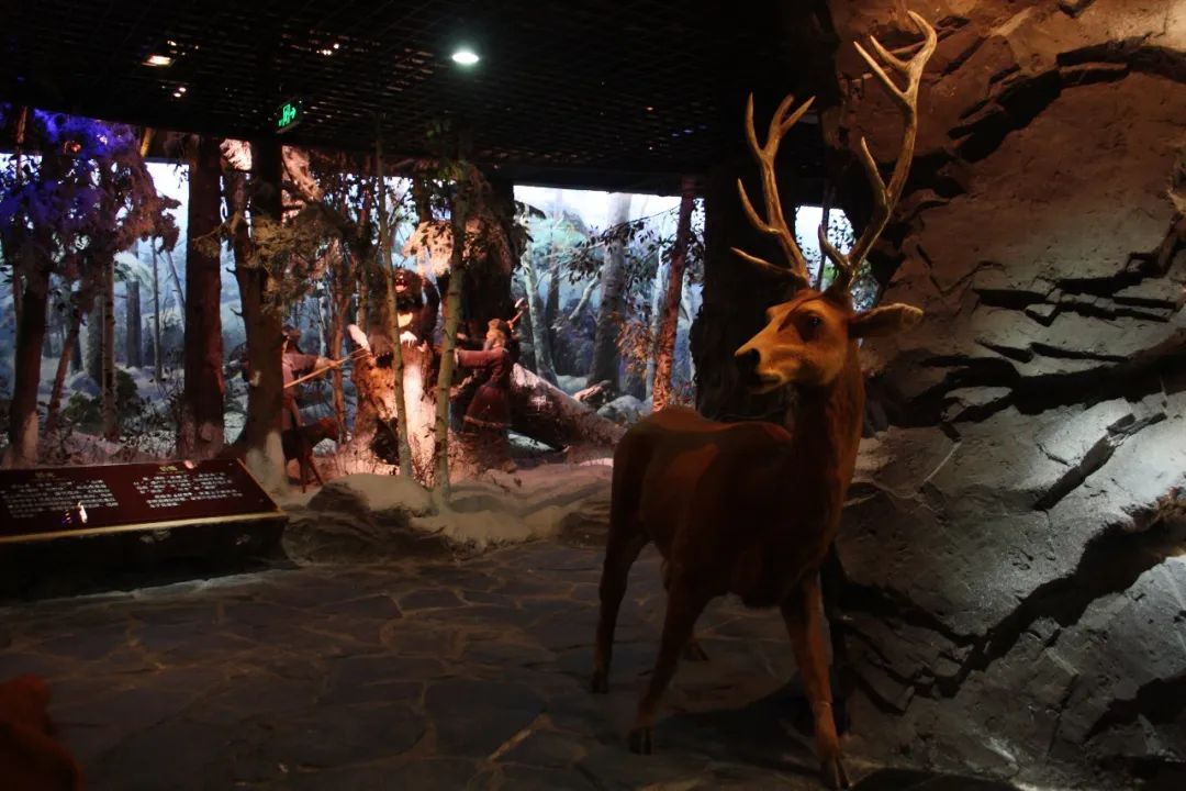 白山市出发五一2-3天短途旅游推荐,冬季白山周边一日游景点大全