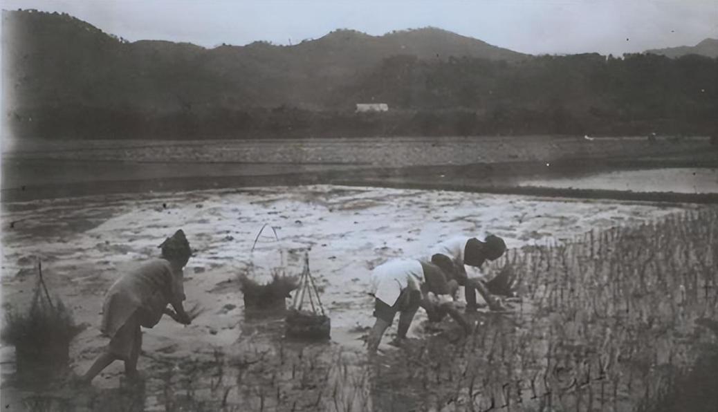 鲁迅儿时伙伴闰土的后裔情况,鲁迅少年玩伴闰土的晚年生活