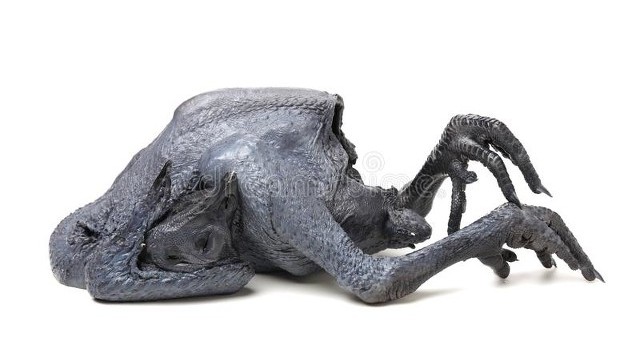 女性月经不干净吃什么,女性月经不规律吃什么保健品