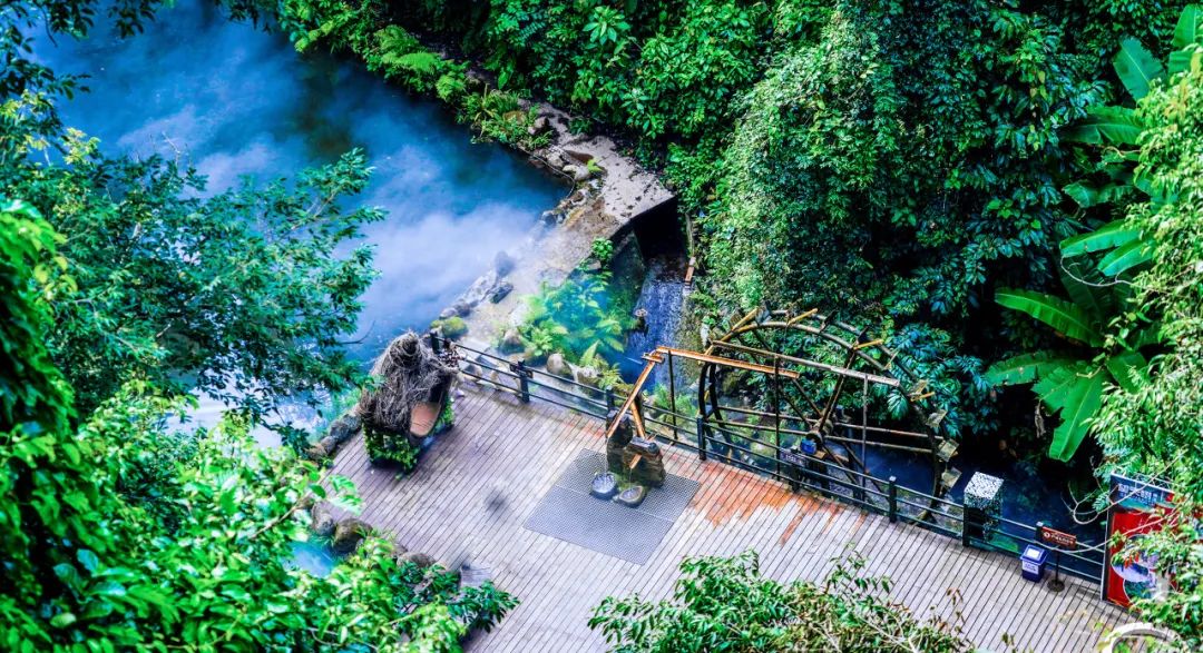 西双版纳体验雨林,吃遍热带水果西双版纳