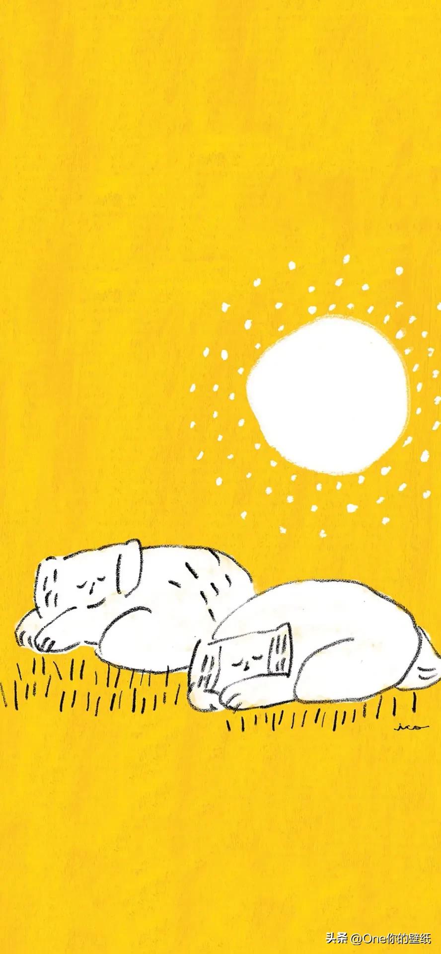 iphone13全屏壁纸2024年,高清iphone13原生壁纸