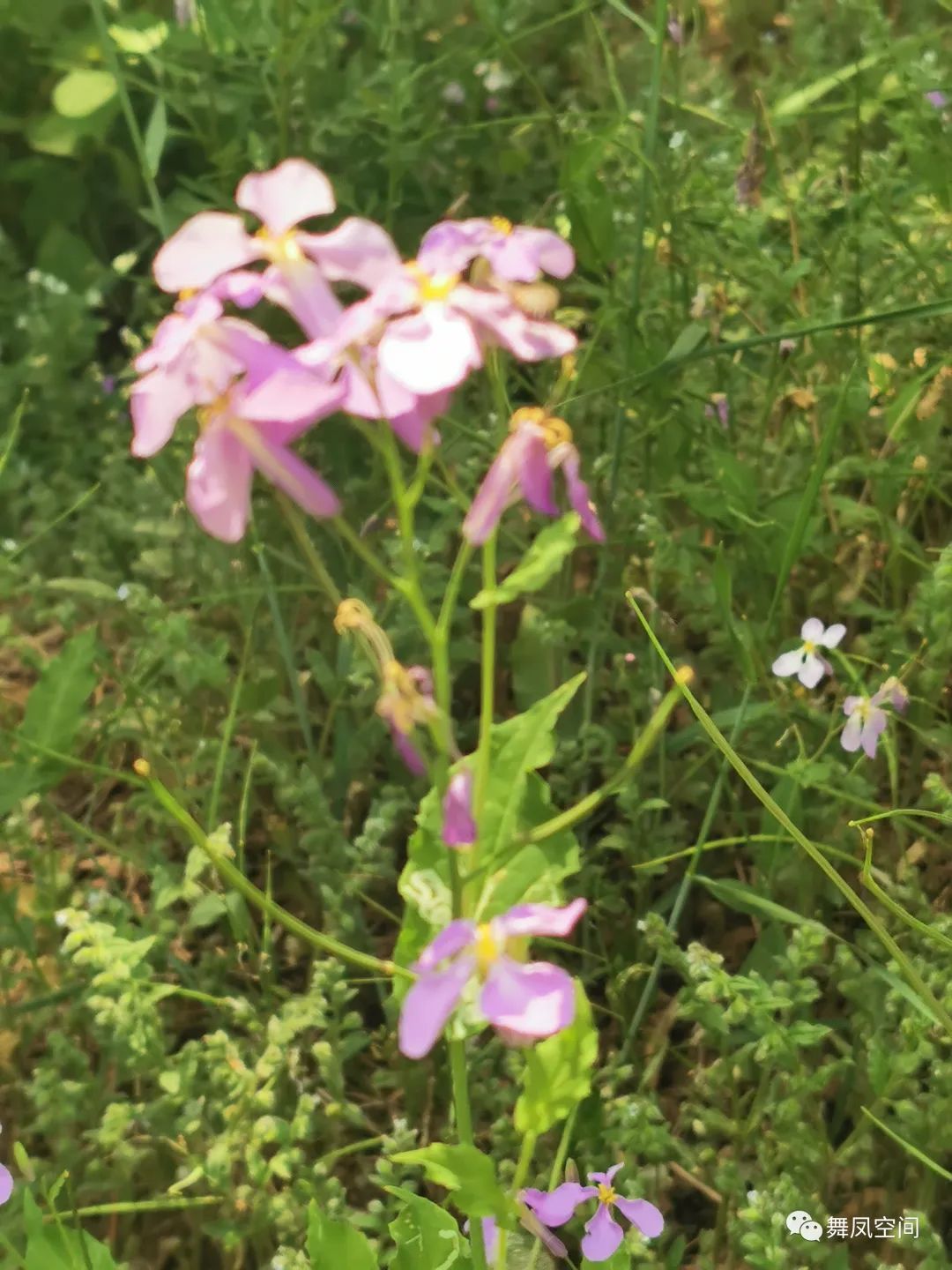 西山国家森林公园海拔,西山国家森林公园昆明
