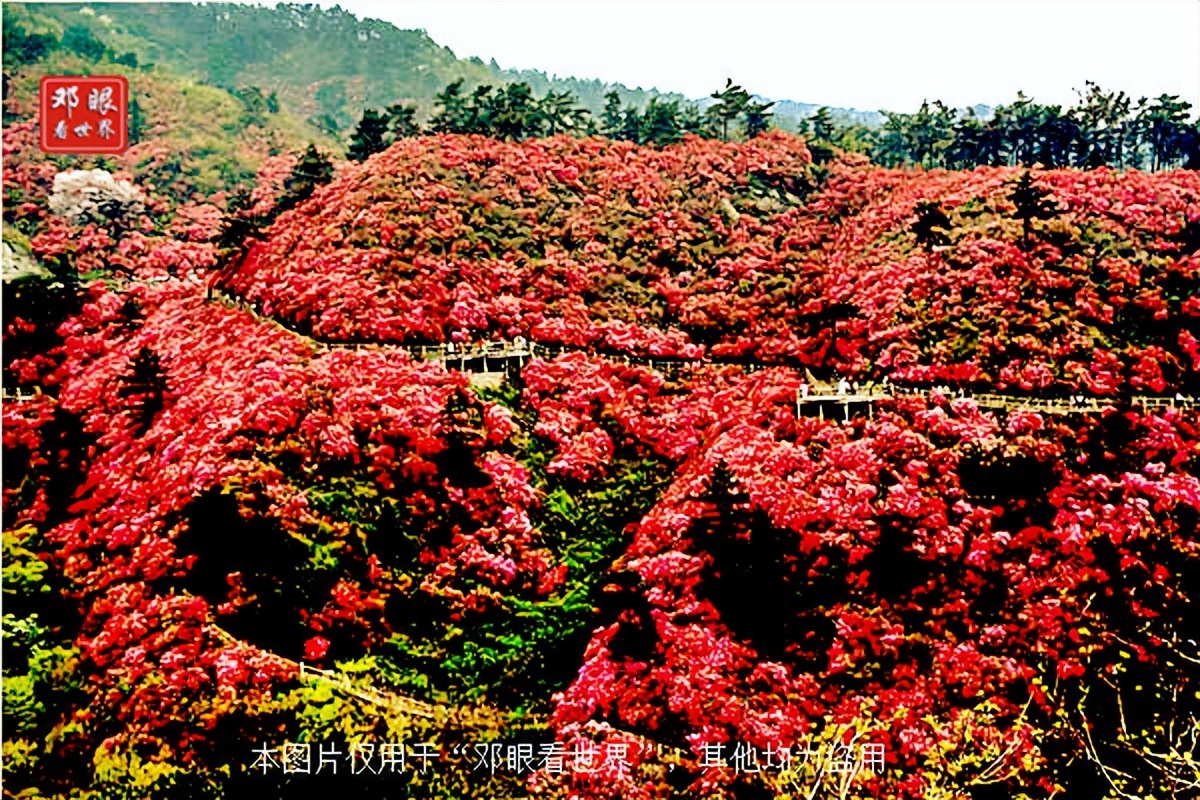 黄陂区旅游存在的问题,黄陂旅游为什么发展得这么好