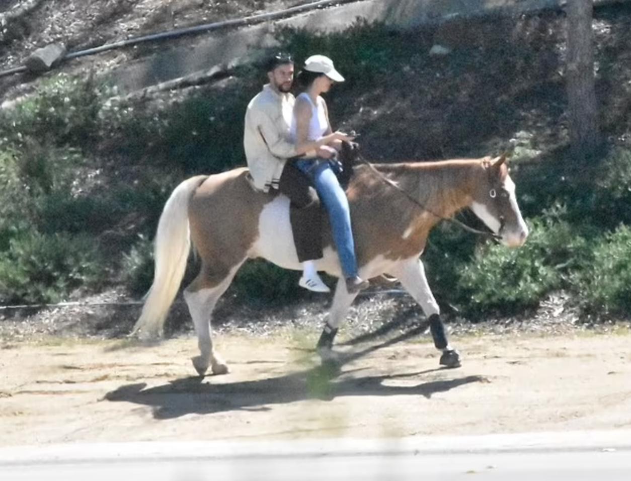 骑着爱情的小马，肯豆和坏兔子开始热恋的颠簸，甜蜜情侣祝福多多