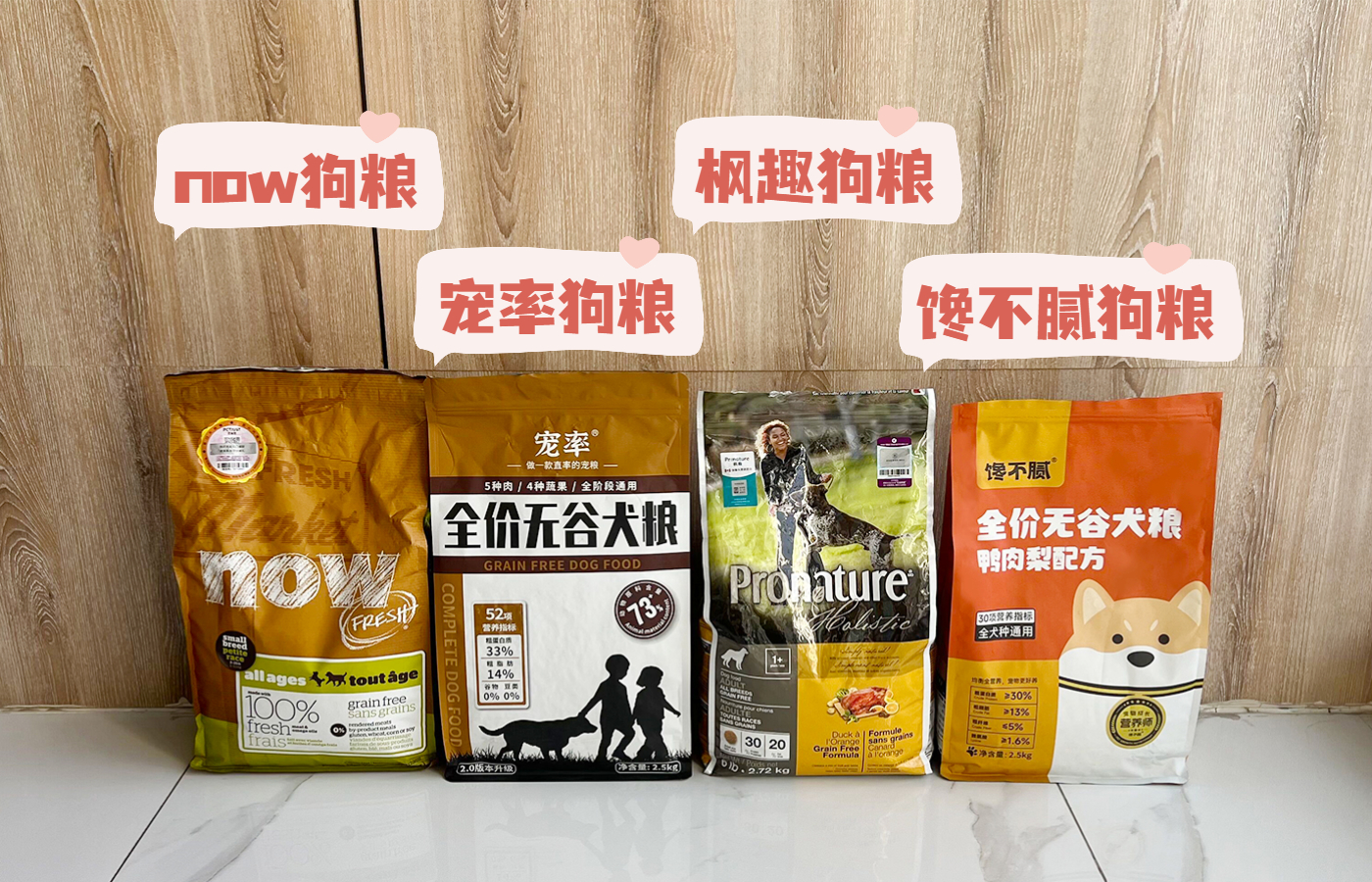 粘人的比熊小奶狗品种名字,十大最省心狗排名比熊