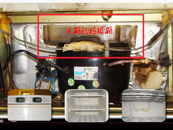 冰箱用了十多年了现在结冰厉害,冰箱后面有臭味储水盒怎么拿下来