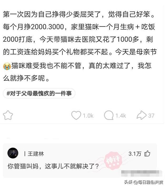 「盐选神回复」难道她发现我的程序出了BUG？