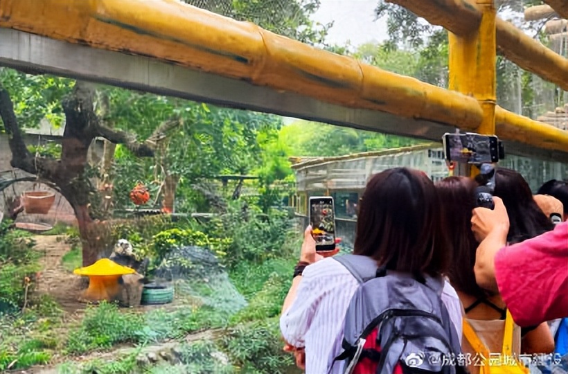 探秘动物的区域活动观察记录,成都动物园新动物