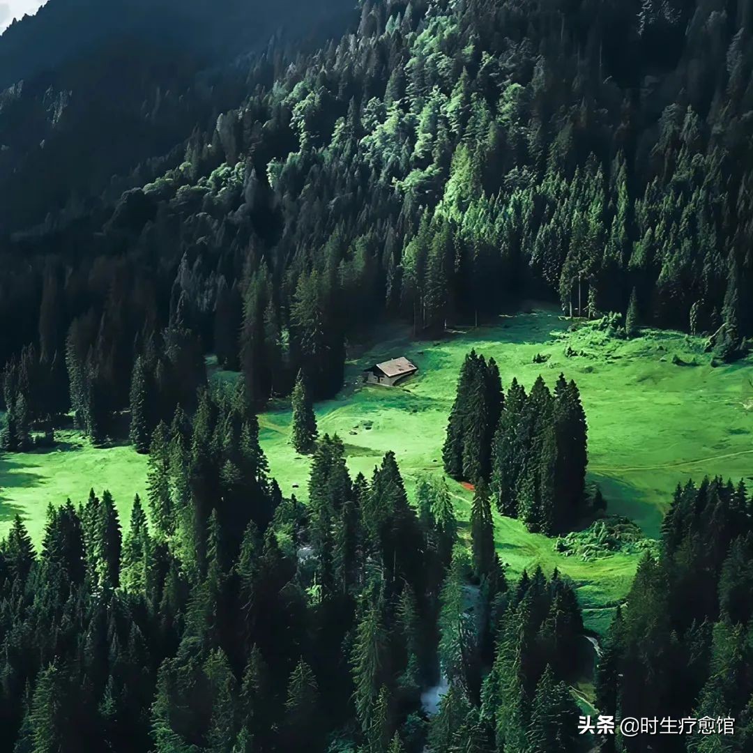 12星座七月运势表现,一周星座运势2010.07.14-07.20