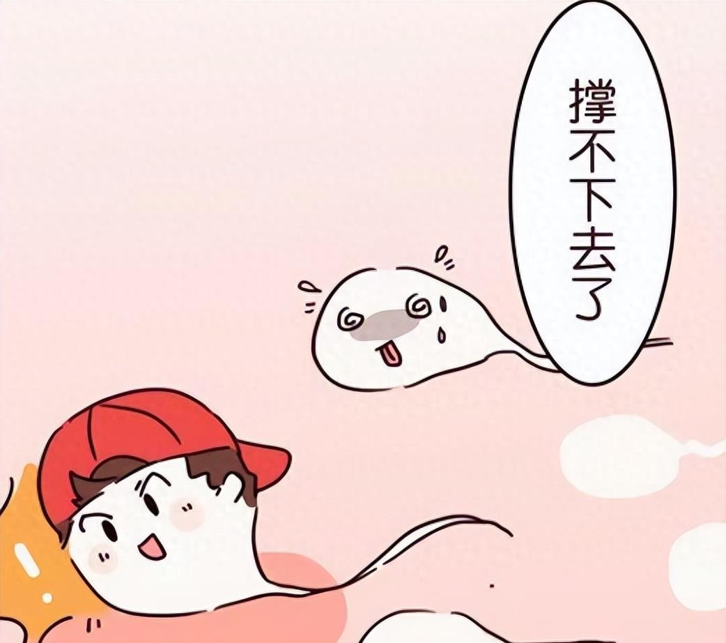 失落的小勇士们,踏上了怀孕之路