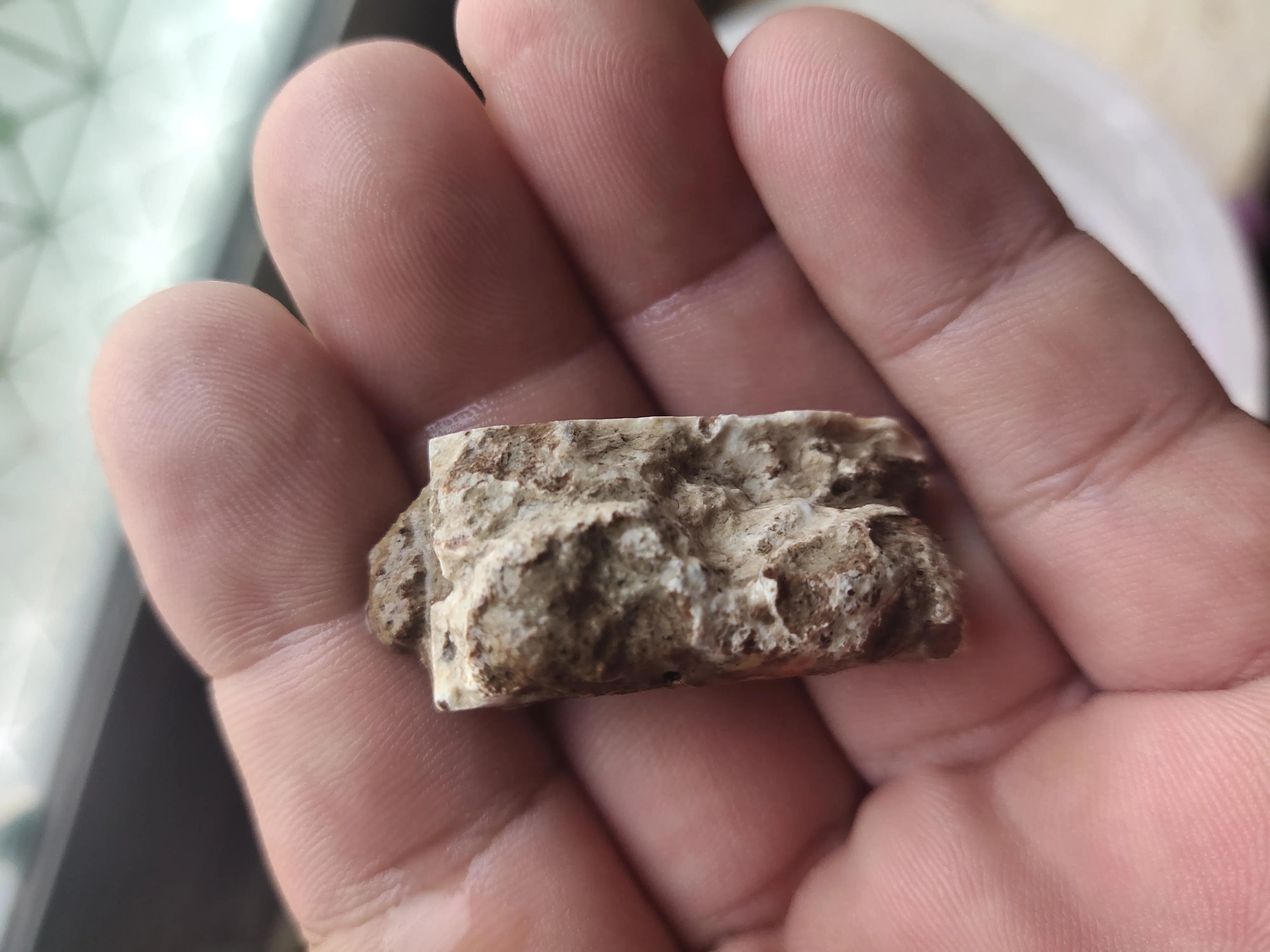 试论高古玉标本是如何毁灭的