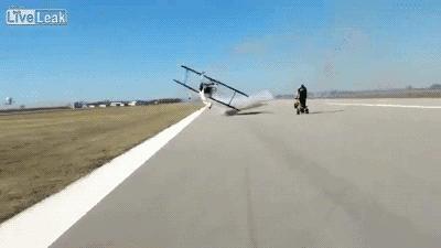 第一个用无人机拍到的鲸鱼,鲸鱼萤火虫