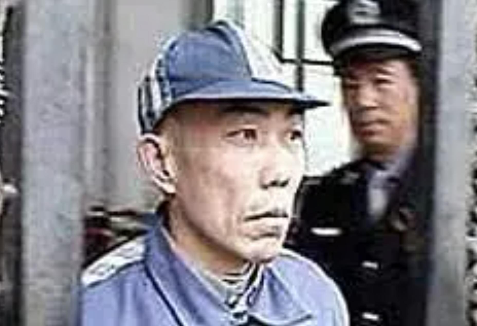 河南农民工买了件绿马甲,卖绿马甲被判十三年后续