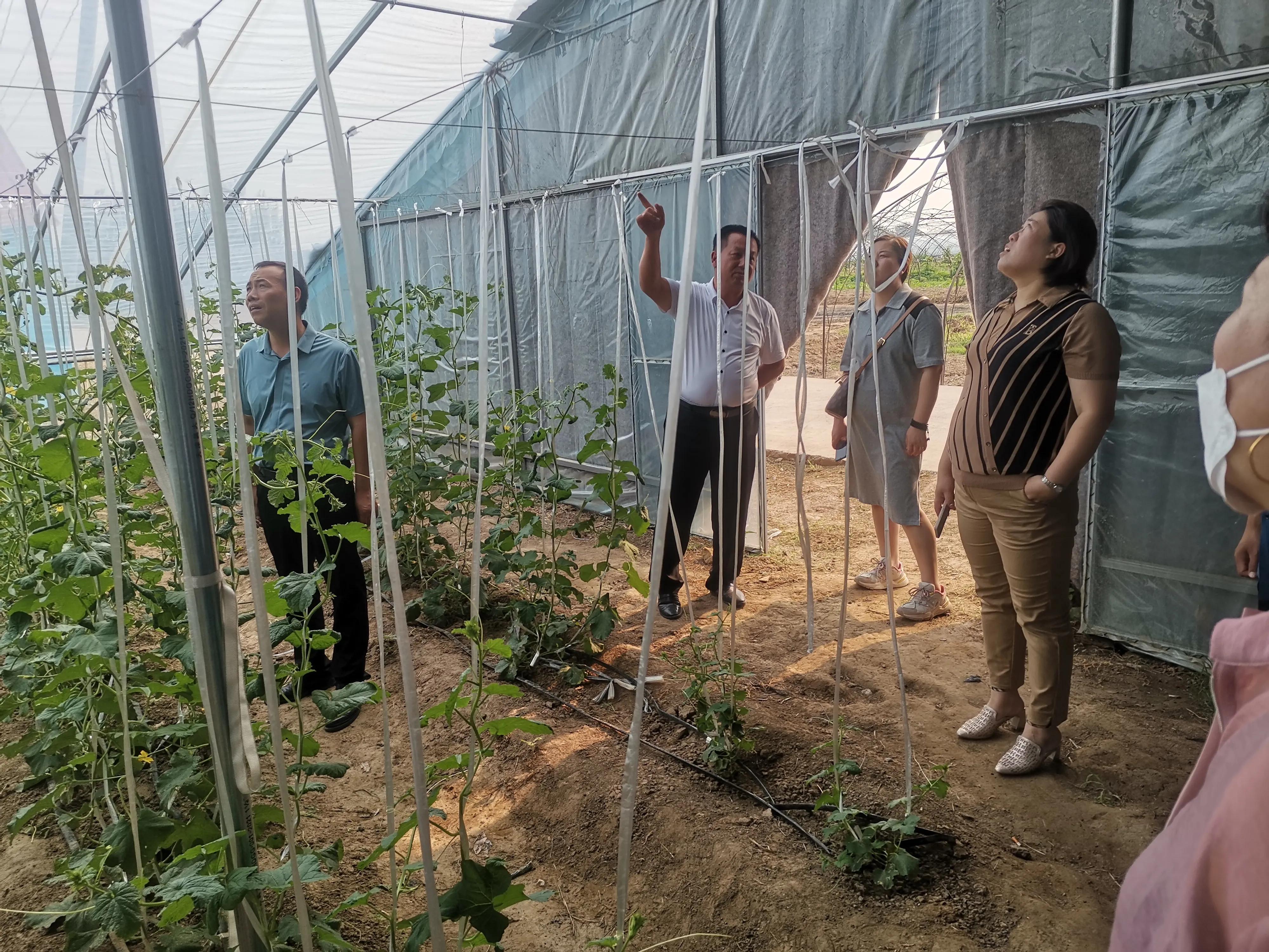 中国华青集团投资公司,华青集团重庆