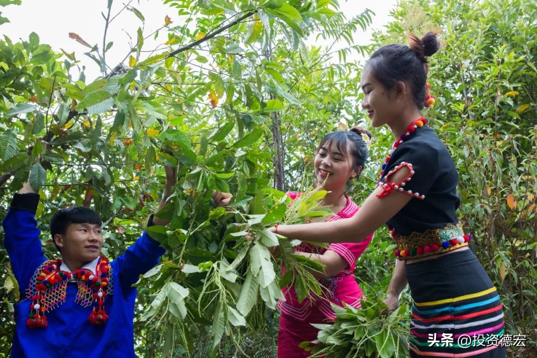 瑞丽德昂泼水狂欢节,云南旅游攻略德宏泼水节