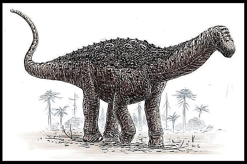 泰坦巨龙图片从哪来的,泰坦巨龙恐龙图片和简介