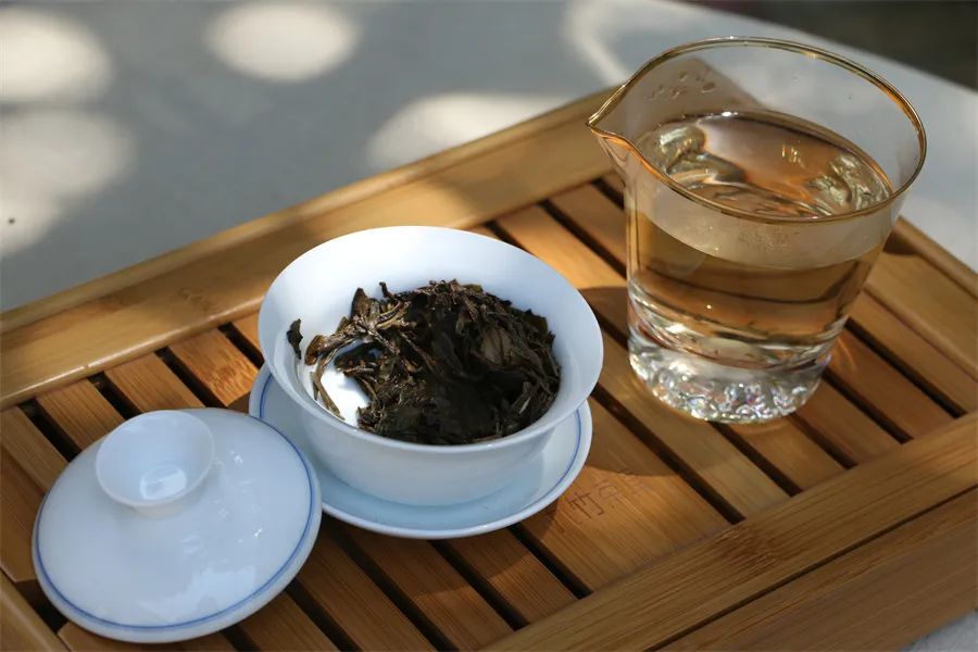 新手喝茶，该挑哪些茶？