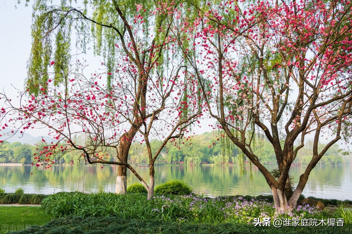 题临安邸林升是写给谁的,林升写的诗悲伤