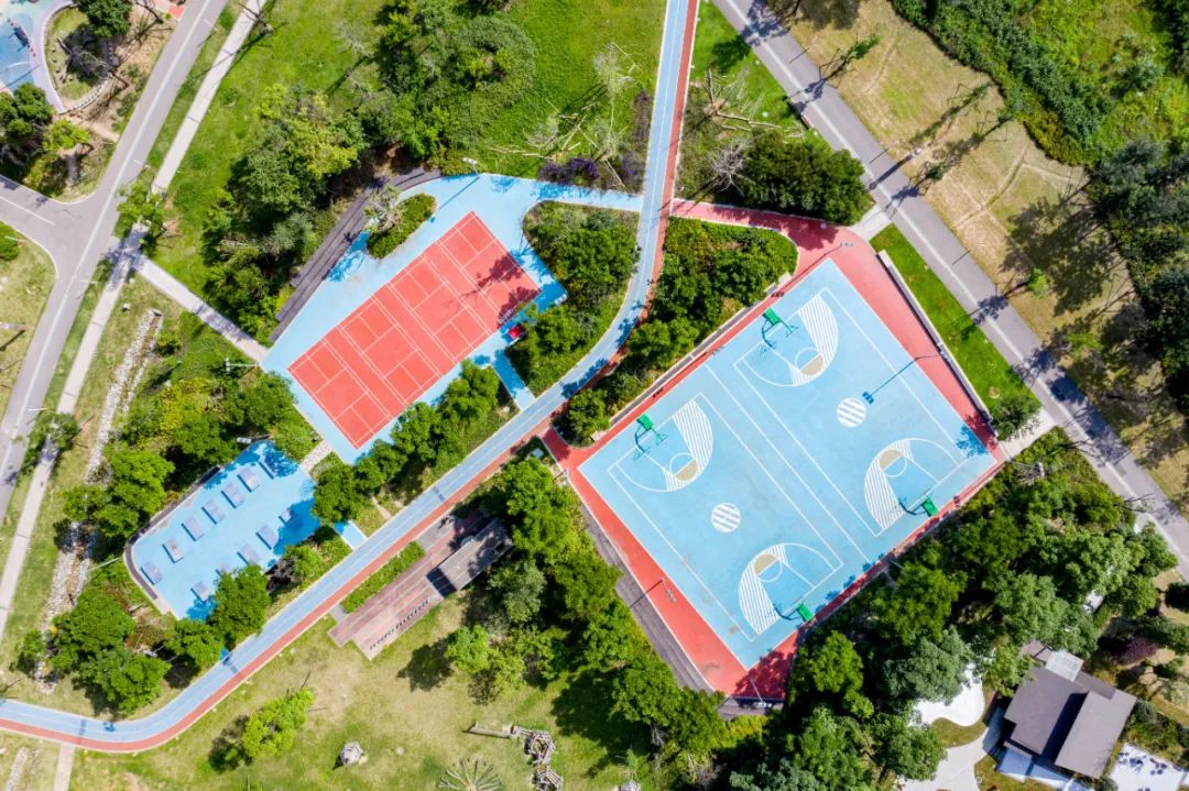 生活在公园城市,生活在公园城市里