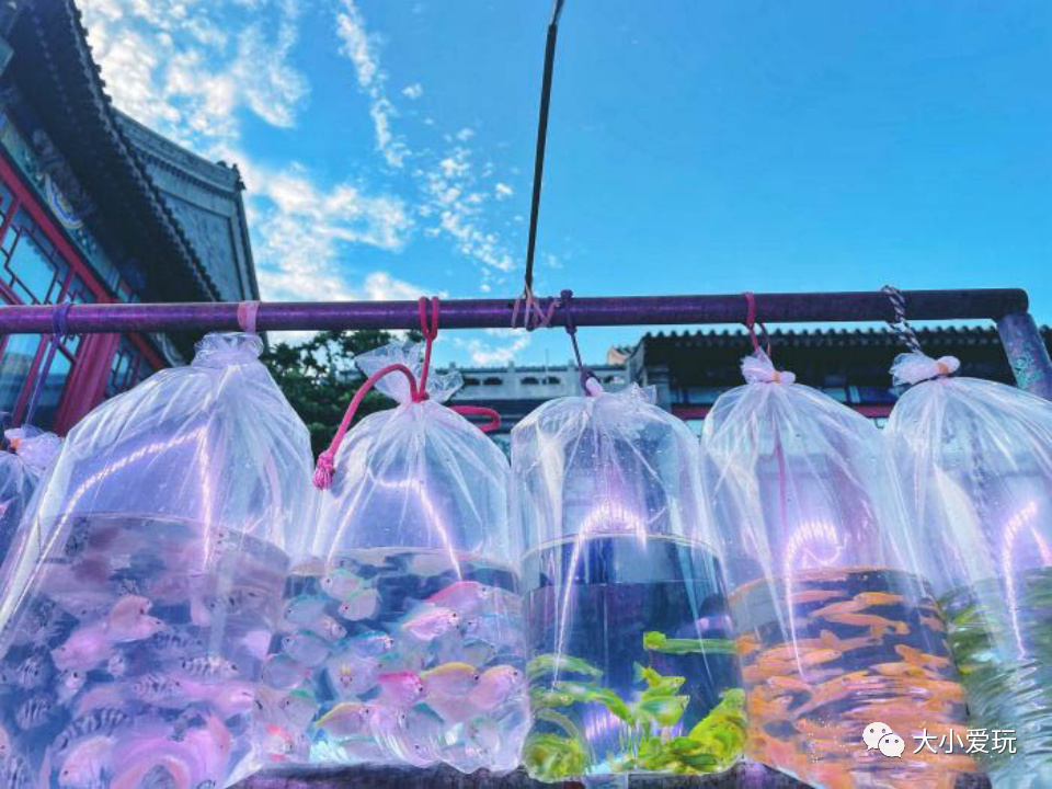 这些好吃好玩又好逛的宝藏市集回归啦！书市/鱼市/小吃夜市……