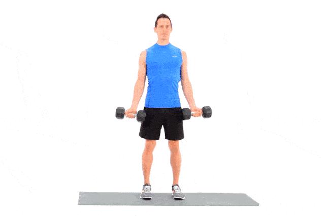 初学者健身房撸铁计划,女生一周撸铁计划表健身房