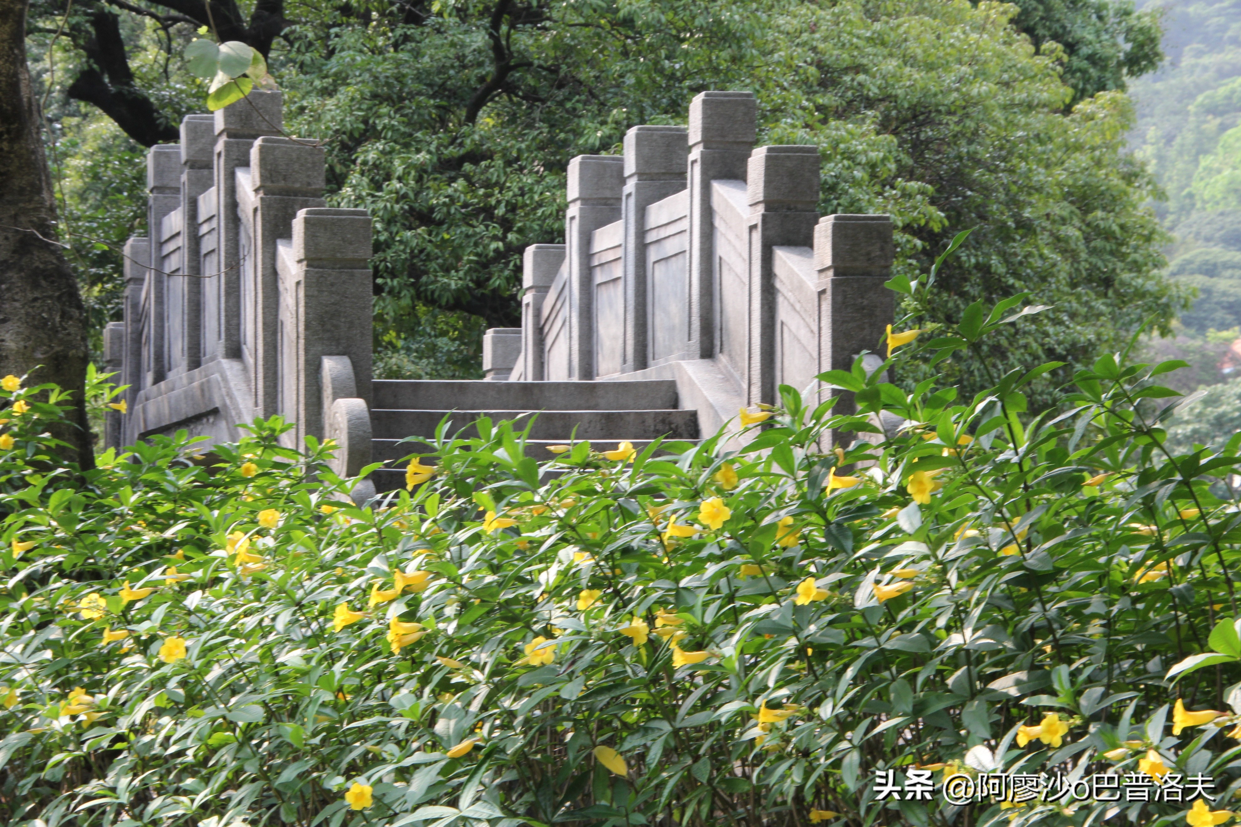 苹果12pm拍摄视频比12更好吗,佳能550d和iphone14拍摄对比