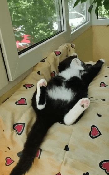 站着走路腰不舒服坐着没事,走路累了倒走能缓解吗