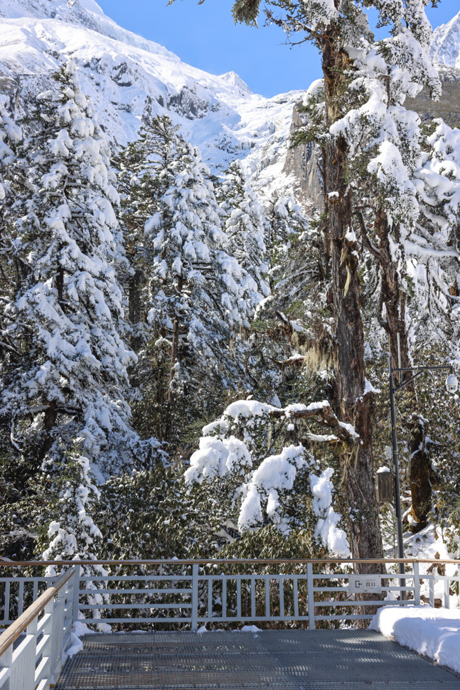 海螺沟里面的景区,海螺沟雪山山顶介绍