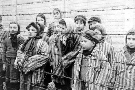 门格勒双胞胎,门格勒双胞胎实验