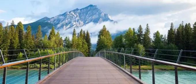 对疫情的思考和感悟的句子短句,关于疫情的感悟心语短句