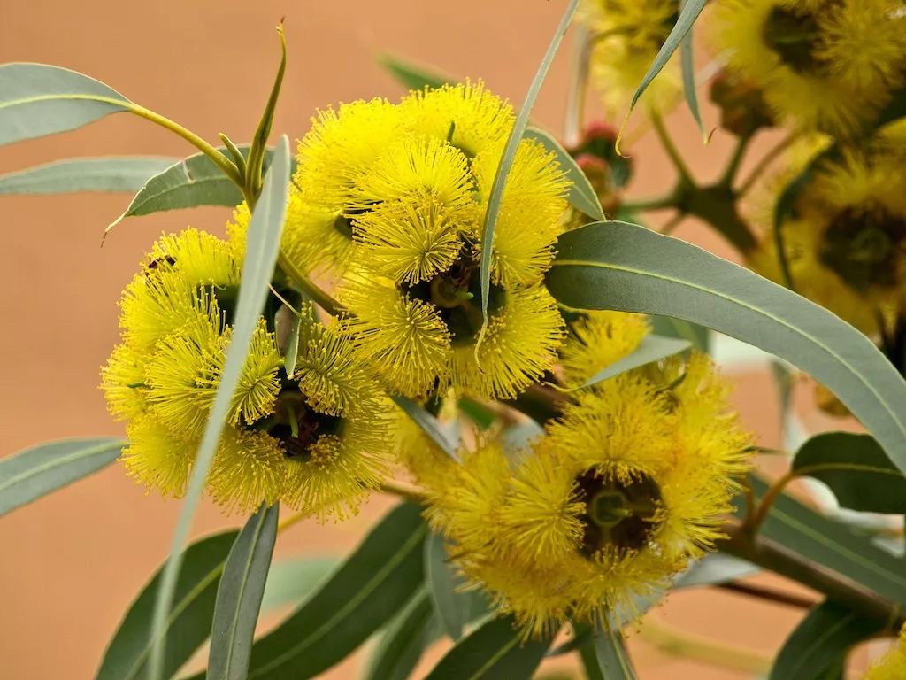 北仑疫情还回得了家吗,北仑疫情出不去了么