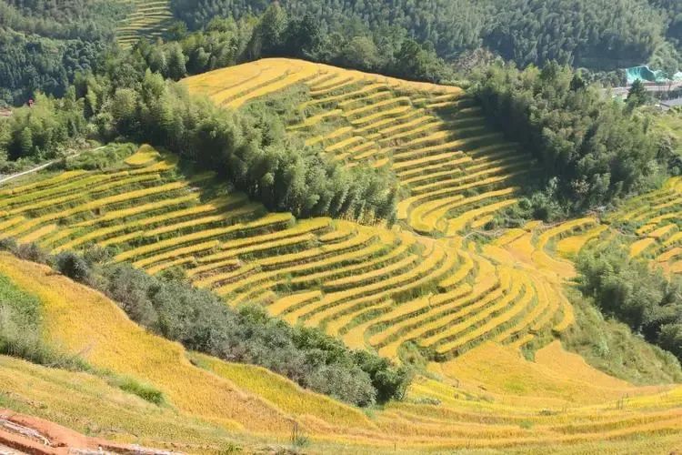 少数民族的形成,北方少数民族演化的原因