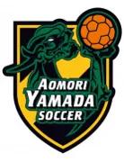 中国日本足球青训对比,日本足球青训视频