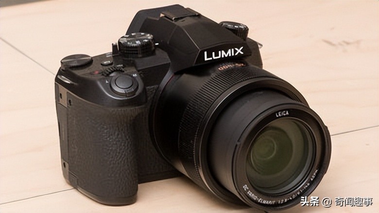 动物拍照最好的相机,哪种相机适合拍摄动物