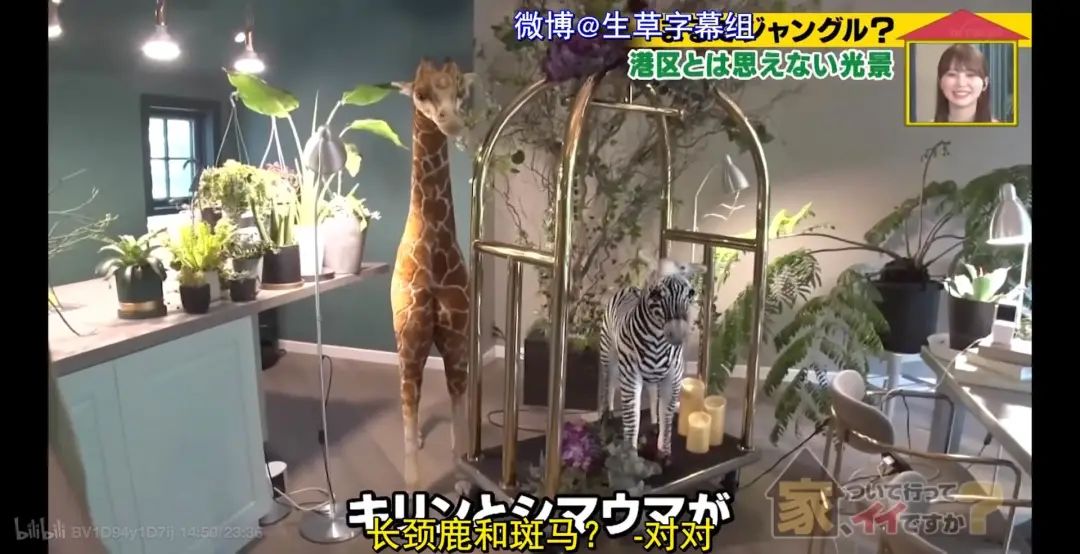 日本秃头大叔33岁考大学当上CEO!还迎娶小13岁白富美?网友酸哭