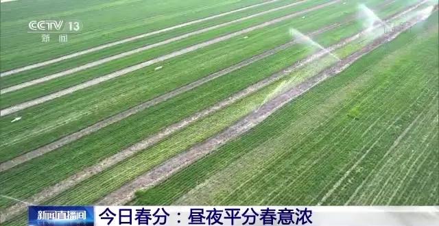 2020年春分节气前后农事指南,农事节气视频大全