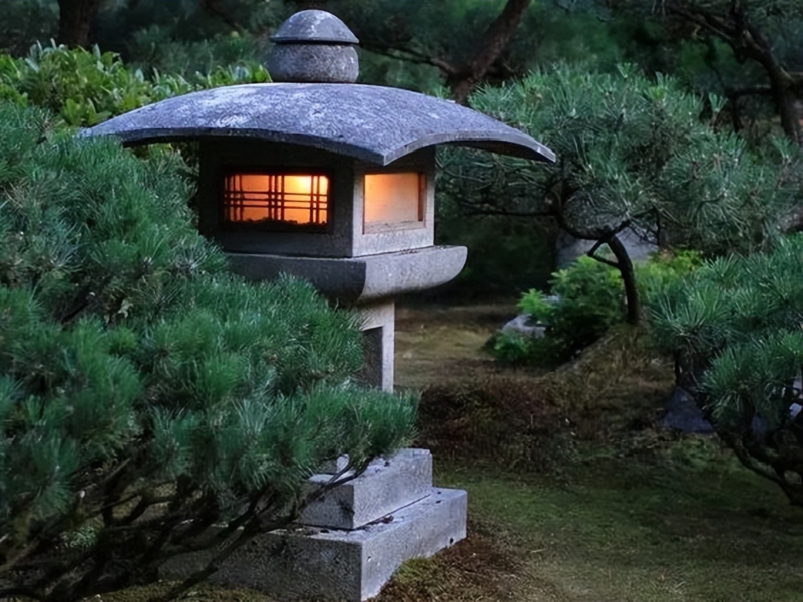 日本枯山水景观,日本枯山水中的树是什么树