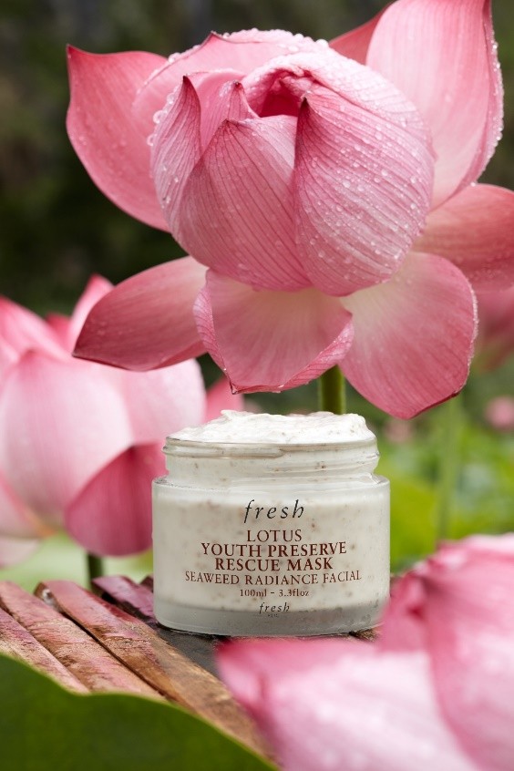 fresh馥蕾诗面膜好吗,fresh馥蕾诗红茶面膜使用方法