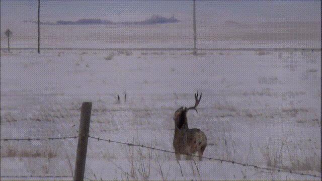 超级血液代表着什么,超级血液是啥