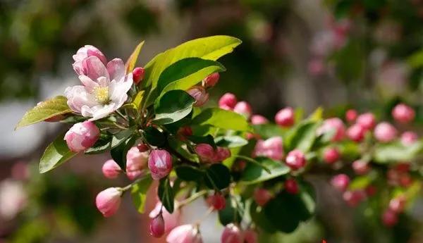 天津大学333,天津大学专科433分的学校