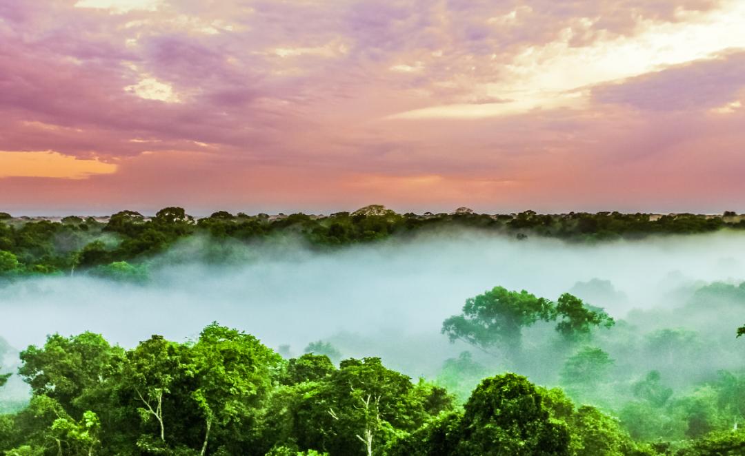 去神秘小岛探险,去神秘岛探险视频