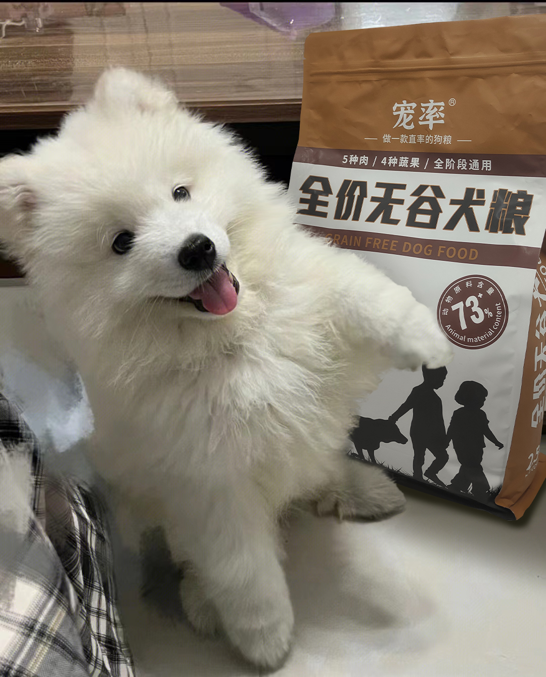 小狗狗走丢了怎么办,狗狗丢了怎么100%找回