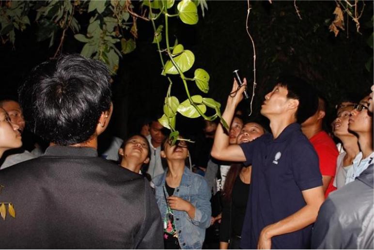 东南亚风情版纳攻略,西双版纳东南亚游