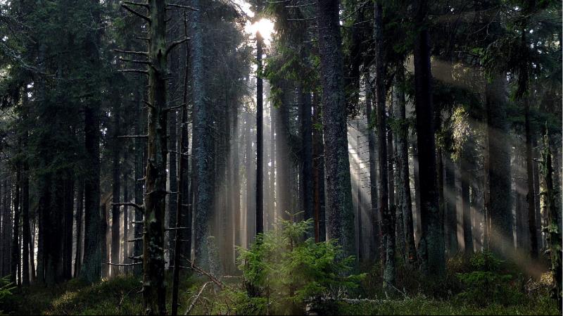 全屋定制板材有问题,全屋定制板材避坑最全攻略