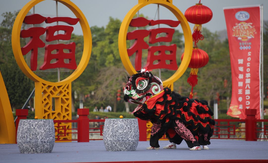 广东省龙狮锦标赛一等奖,肇庆市鼎湖方世玉龙狮团
